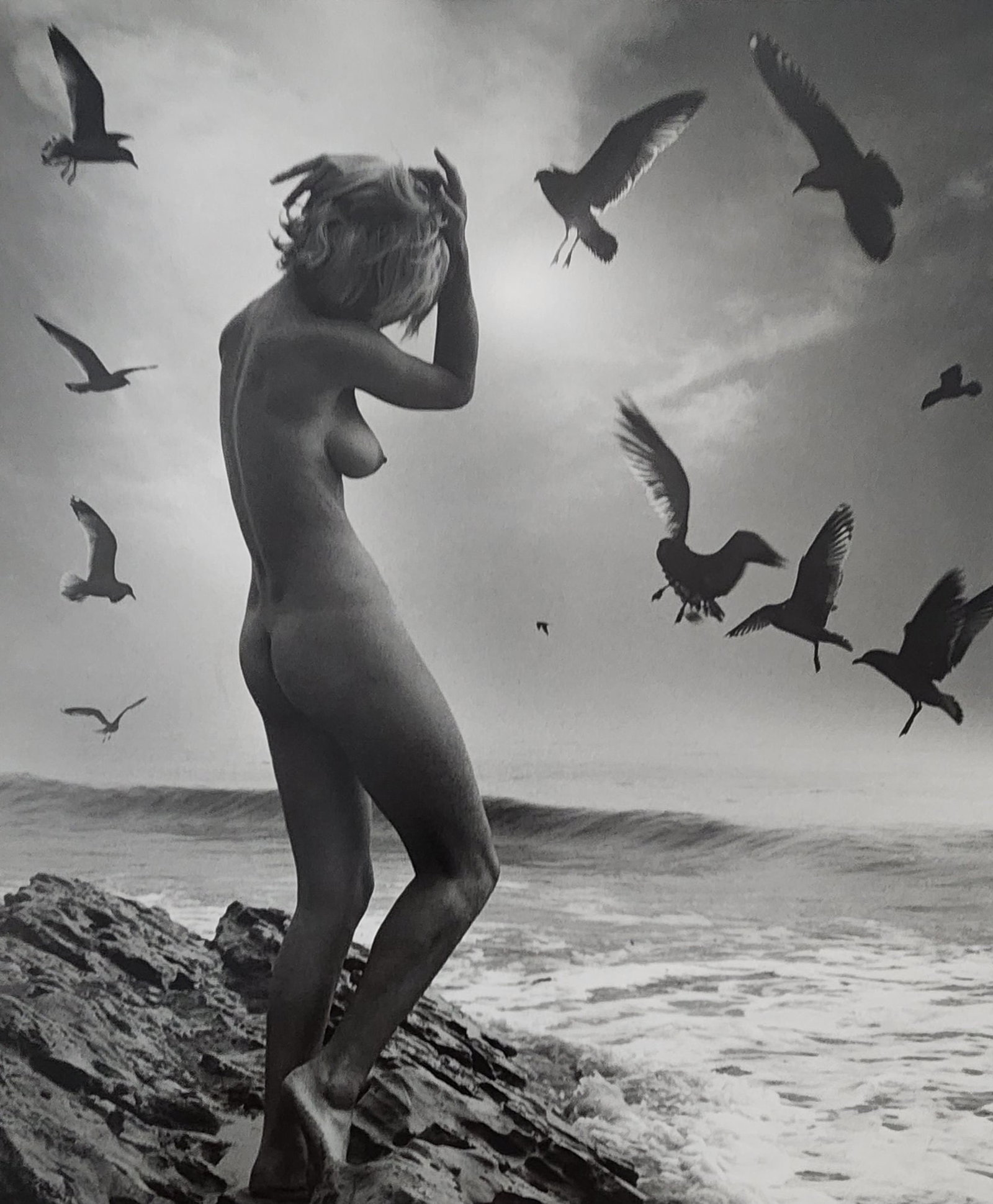 Andre de Dienes - Nude Studies 2005: Artist/Photographer: Andre de Dienes Title/Subject: Nude Studies Type Of Print: Authentic Sheet Fed Photogravure/Heliogravure. Date Of Print: 2005 Paper: Medium weight, satin/matte finish. Print Origi