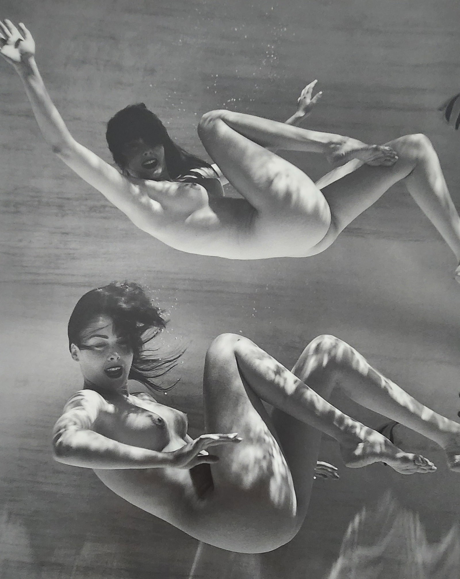 Andre de Dienes - Nude Studies 2005: Artist/Photographer: Andre de Dienes Title/Subject: Nude Studies Type Of Print: Authentic Sheet Fed Photogravure/Heliogravure. Date Of Print: 2005 Paper: Medium weight, satin/matte finish. Print Origi