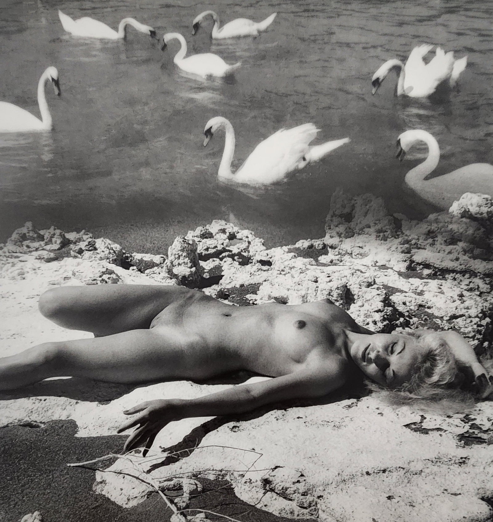 Andre de Dienes - Nude Studies 2005: Artist/Photographer: Andre de Dienes Title/Subject: Nude Studies Type Of Print: Authentic Sheet Fed Photogravure/Heliogravure. Date Of Print: 2005 Paper: Medium weight, satin/matte finish. Print Origi