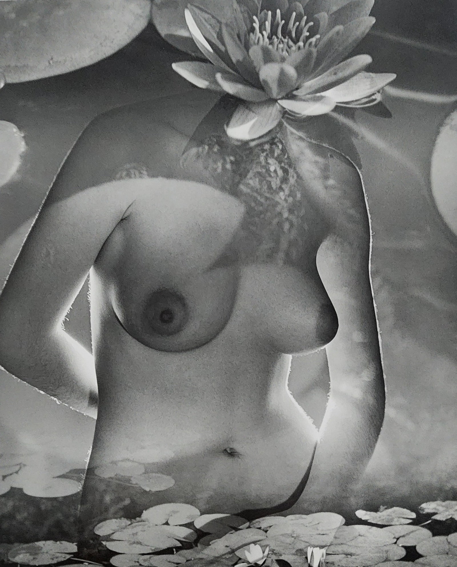 Andre de Dienes - Nude Studies 2005: Artist/Photographer: Andre de Dienes Title/Subject: Nude Studies Type Of Print: Authentic Sheet Fed Photogravure/Heliogravure. Date Of Print: 2005 Paper: Medium weight, satin/matte finish. Print Origi