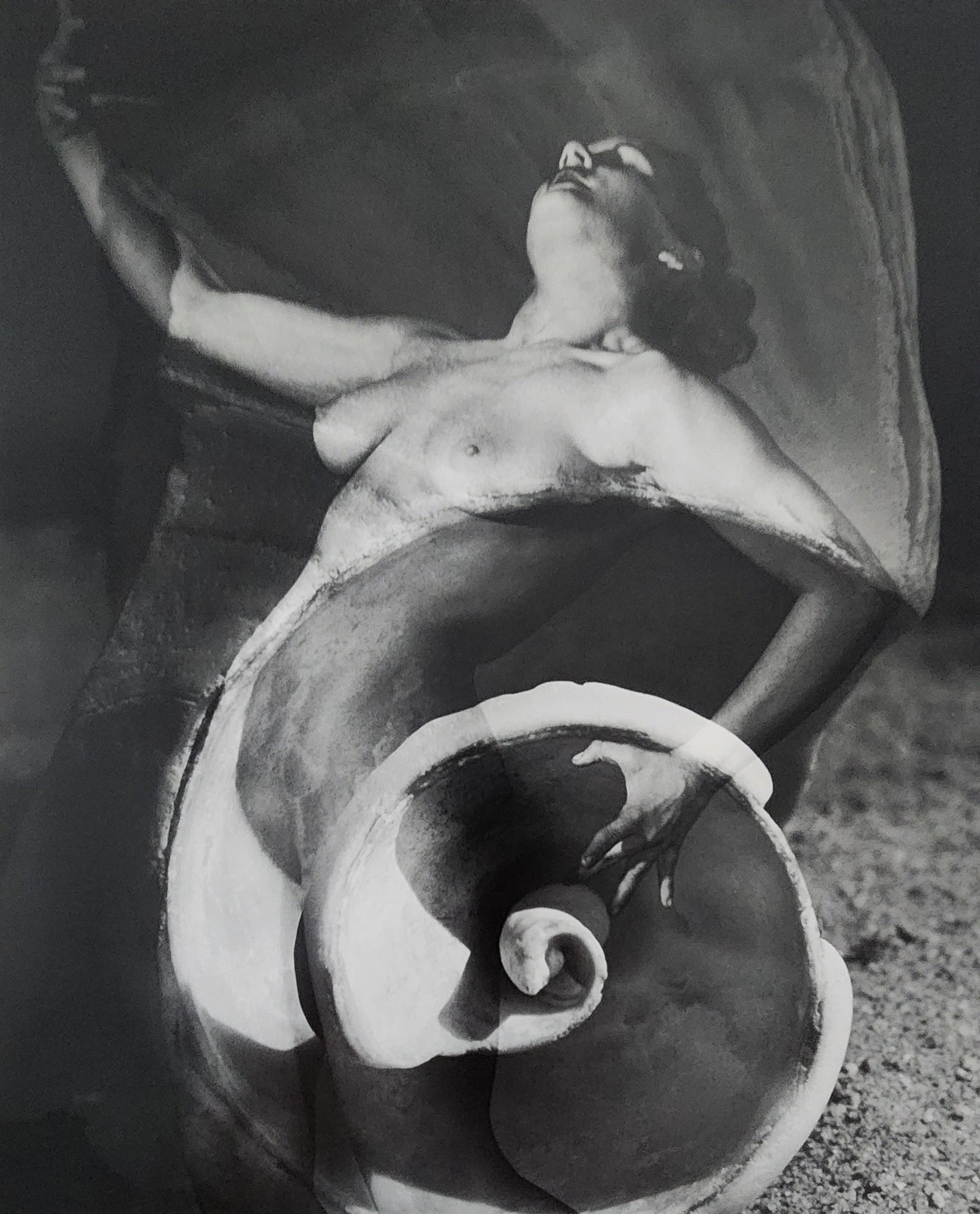 Andre de Dienes - Nude Studies 2005: Artist/Photographer: Andre de Dienes Title/Subject: Nude Studies Type Of Print: Authentic Sheet Fed Photogravure/Heliogravure. Date Of Print: 2005 Paper: Medium weight, satin/matte finish. Print Origi