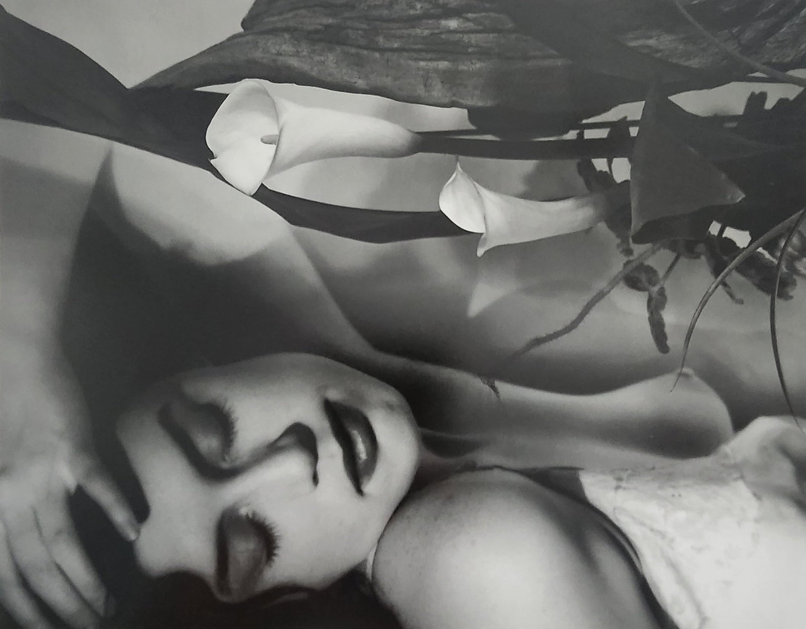 Andre de Dienes - Nude Studies 2005: Artist/Photographer: Andre de Dienes Title/Subject: Nude Studies Type Of Print: Authentic Sheet Fed Photogravure/Heliogravure. Date Of Print: 2005 Paper: Medium weight, satin/matte finish. Print Origi