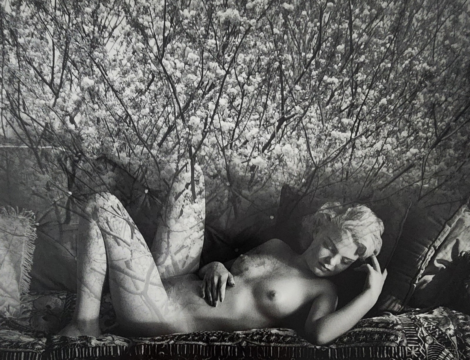 Andre de Dienes - Nude Studies 2005: Artist/Photographer: Andre de Dienes Title/Subject: Nude Studies Type Of Print: Authentic Sheet Fed Photogravure/Heliogravure. Date Of Print: 2005 Paper: Medium weight, satin/matte finish. Print Origi