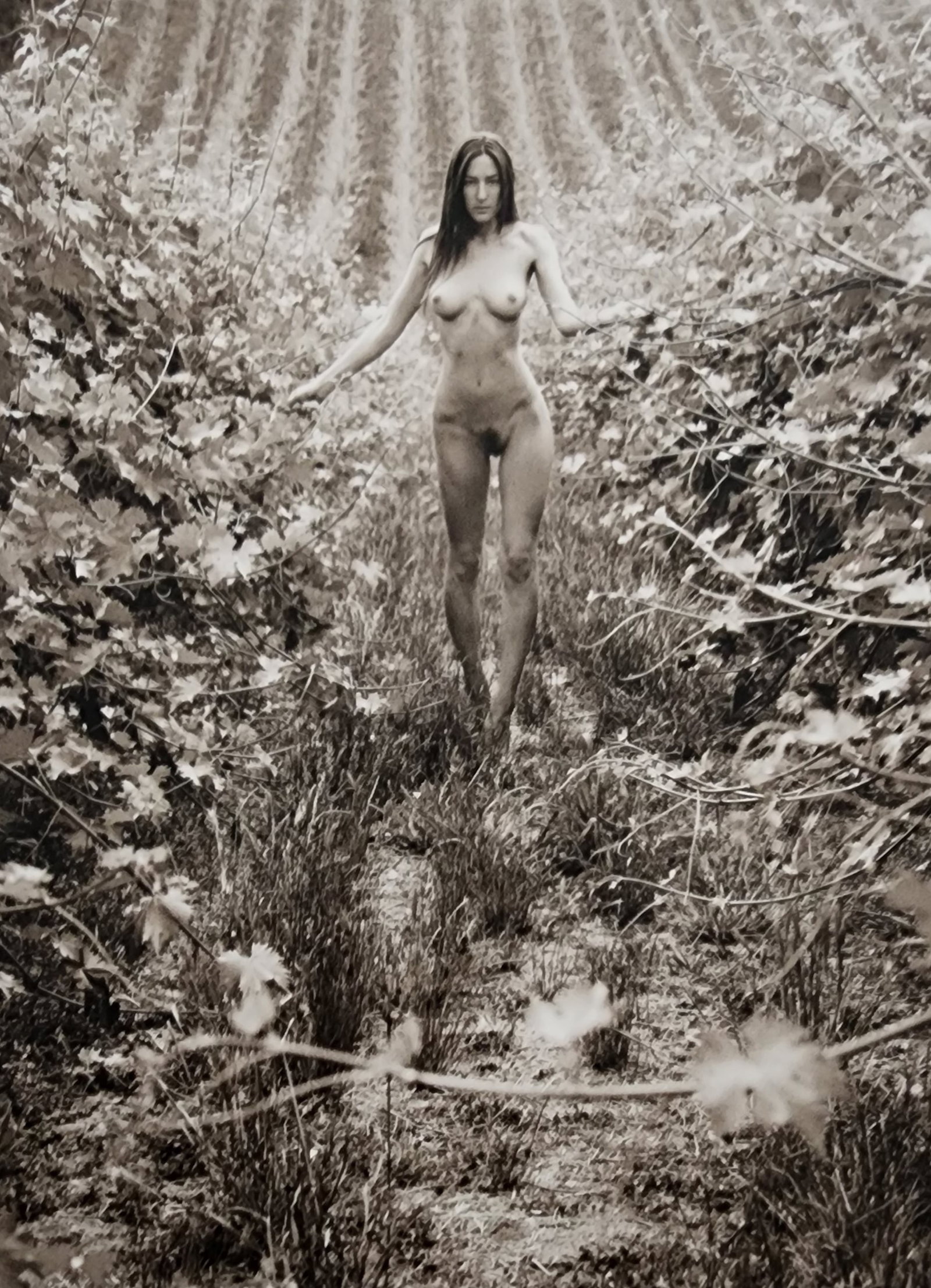 Petter Hegre 'Tuscany Nudes' (2009): Photographer: Petter Hegre Title/Subject: Tuscany Nudes Type Of Print: Authentic Sheet Fed Photogravure/Heliogravure. Date Of Print: 2009 Paper: Medium weight, satin/matte finish. Print Origin: Italy 