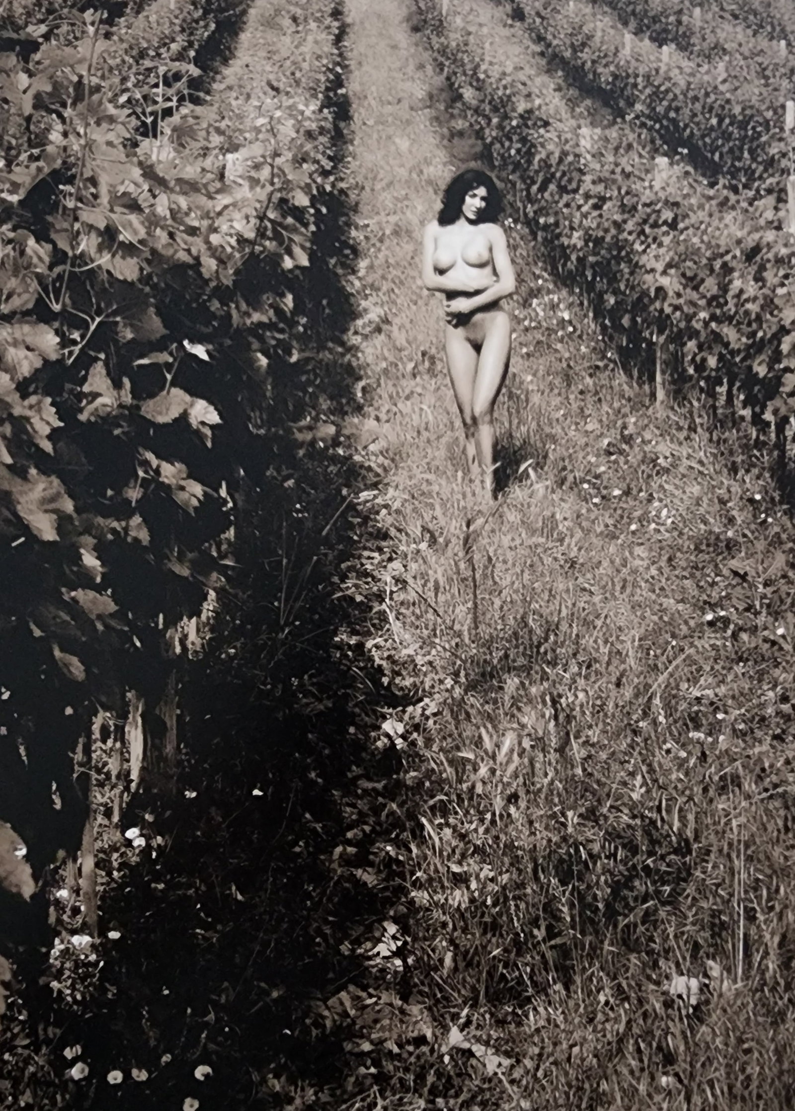 Petter Hegre 'Tuscany Nudes' (2009): Photographer: Petter Hegre Title/Subject: Tuscany Nudes Type Of Print: Authentic Sheet Fed Photogravure/Heliogravure. Date Of Print: 2009 Paper: Medium weight, satin/matte finish. Print Origin: Italy 