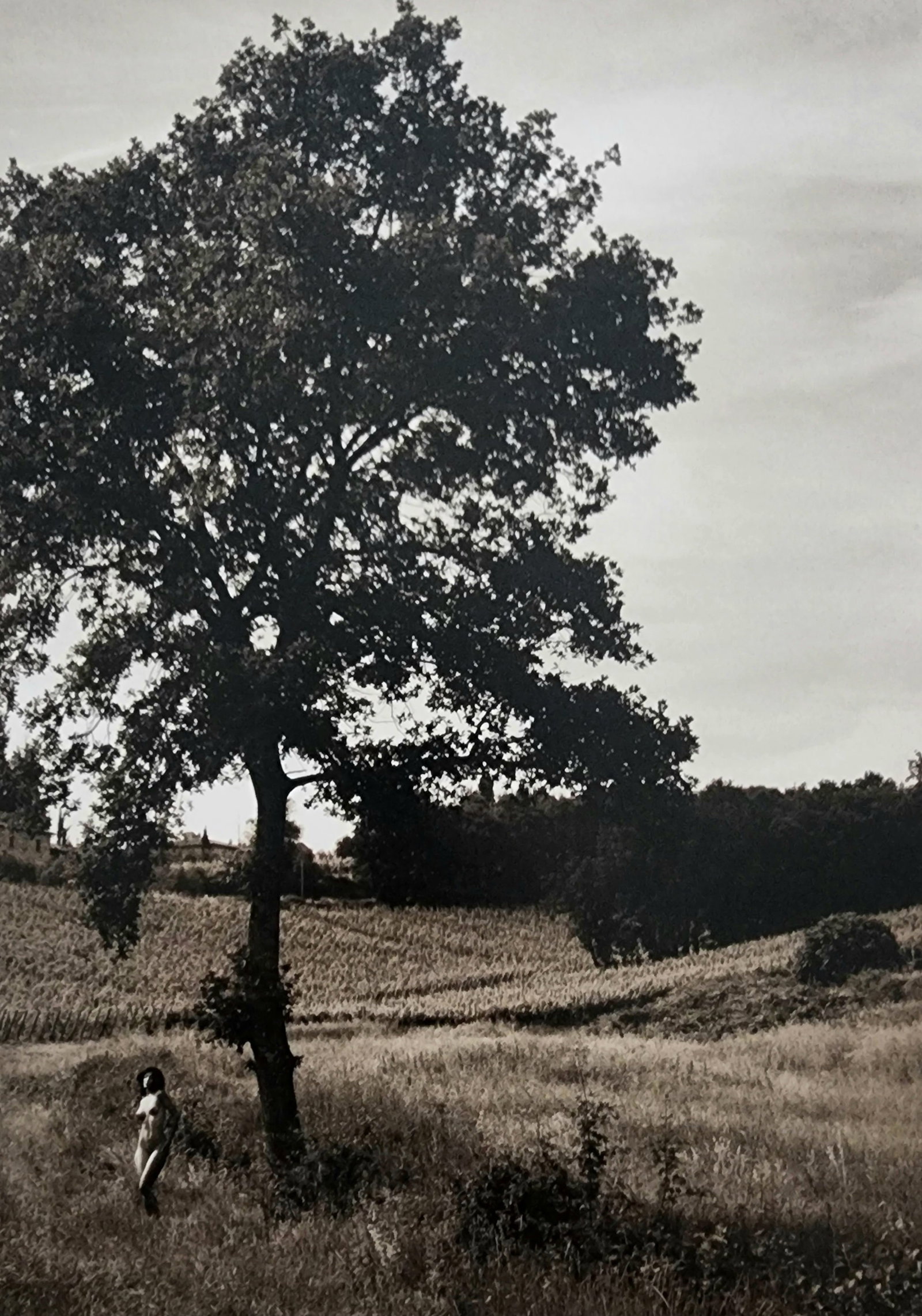 Petter Hegre 'Tuscany Nudes' (2009): Photographer: Petter Hegre Title/Subject: Tuscany Nudes Type Of Print: Authentic Sheet Fed Photogravure/Heliogravure. Date Of Print: 2009 Paper: Medium weight, satin/matte finish. Print Origin: Italy 