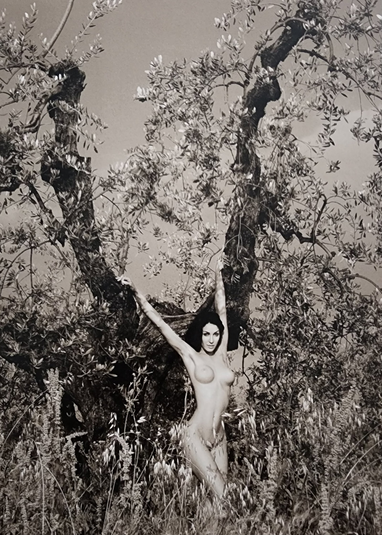 Petter Hegre 'Tuscany Nudes' (2009): Photographer: Petter Hegre Title/Subject: Tuscany Nudes Type Of Print: Authentic Sheet Fed Photogravure/Heliogravure. Date Of Print: 2009 Paper: Medium weight, satin/matte finish. Print Origin: Italy 