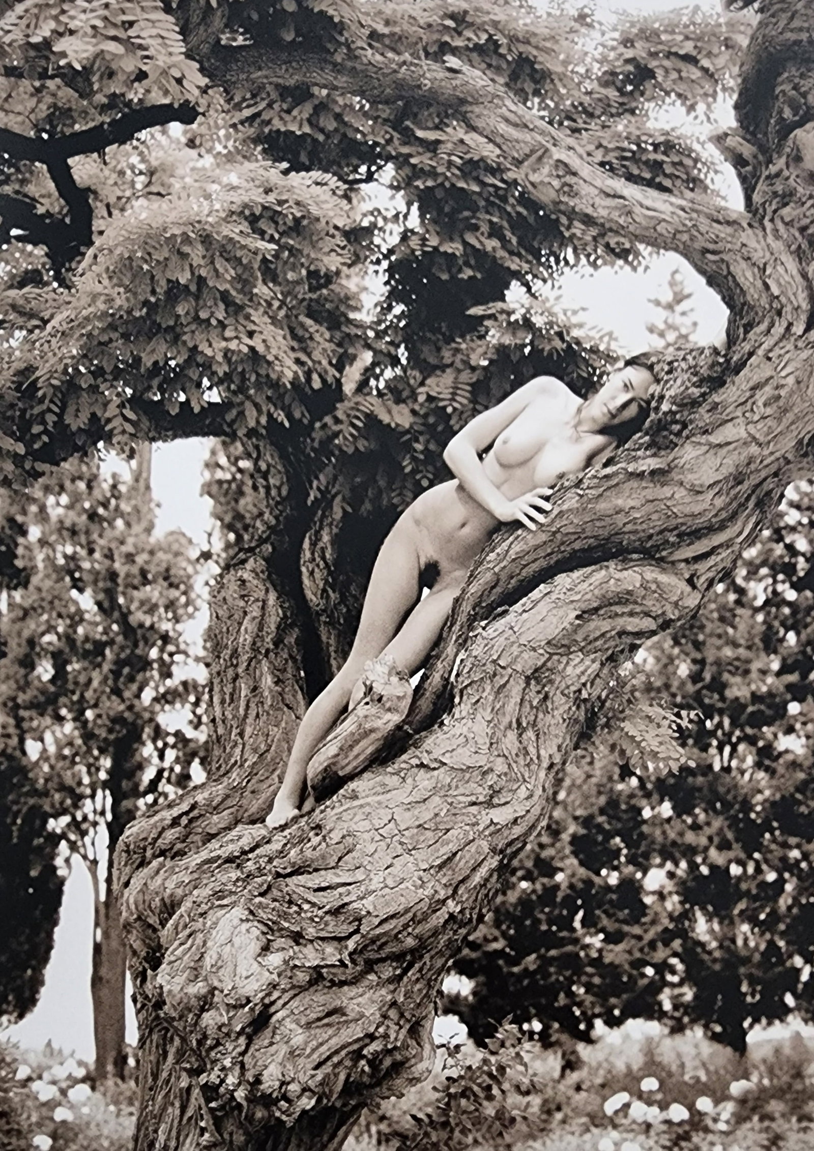 Petter Hegre 'Tuscany Nudes' (2009): Photographer: Petter Hegre Title/Subject: Tuscany Nudes Type Of Print: Authentic Sheet Fed Photogravure/Heliogravure. Date Of Print: 2009 Paper: Medium weight, satin/matte finish. Print Origin: Italy 