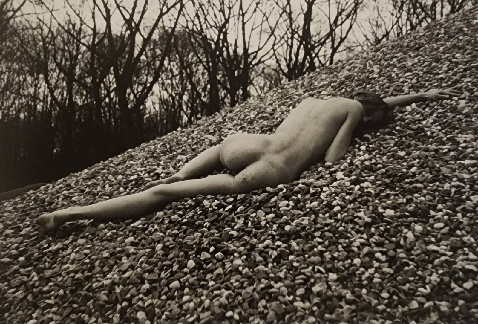 Pascal Baetens 'Heavenly Beauties' (2010): Artist/Photographer: Pascal Baetens Title/Subject: Heavenly Beauties Type Of Print: Authentic Sheet Fed Photogravure/Heliogravure. Date Of Print: 2010 Paper: Medium weight, satin/matte finish. Print O