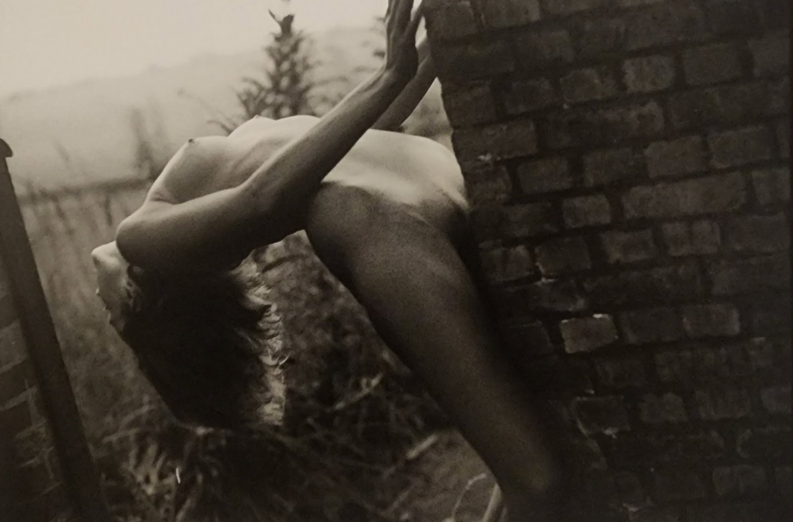 Pascal Baetens 'Heavenly Beauties' (2010): Artist/Photographer: Pascal Baetens Title/Subject: Heavenly Beauties Type Of Print: Authentic Sheet Fed Photogravure/Heliogravure. Date Of Print: 2010 Paper: Medium weight, satin/matte finish. Print O