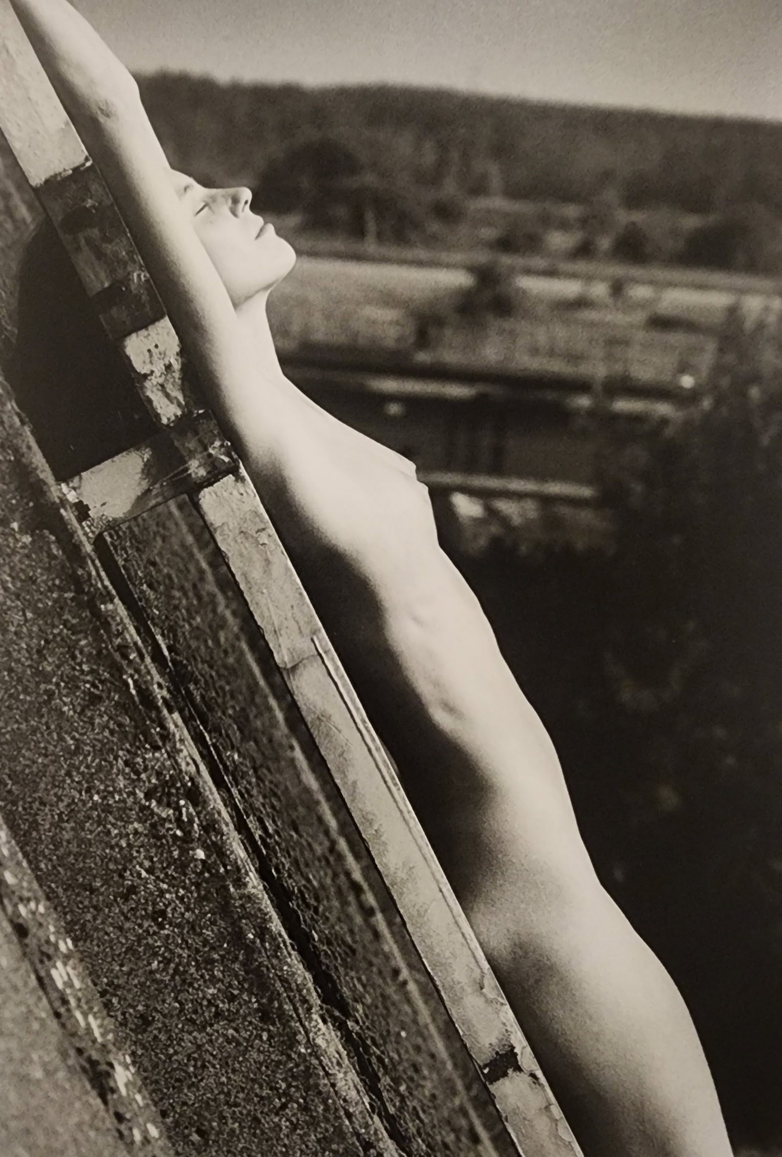 Pascal Baetens 'Heavenly Beauties' (2010): Artist/Photographer: Pascal Baetens Title/Subject: Heavenly Beauties Type Of Print: Authentic Sheet Fed Photogravure/Heliogravure. Date Of Print: 2010 Paper: Medium weight, satin/matte finish. Print O