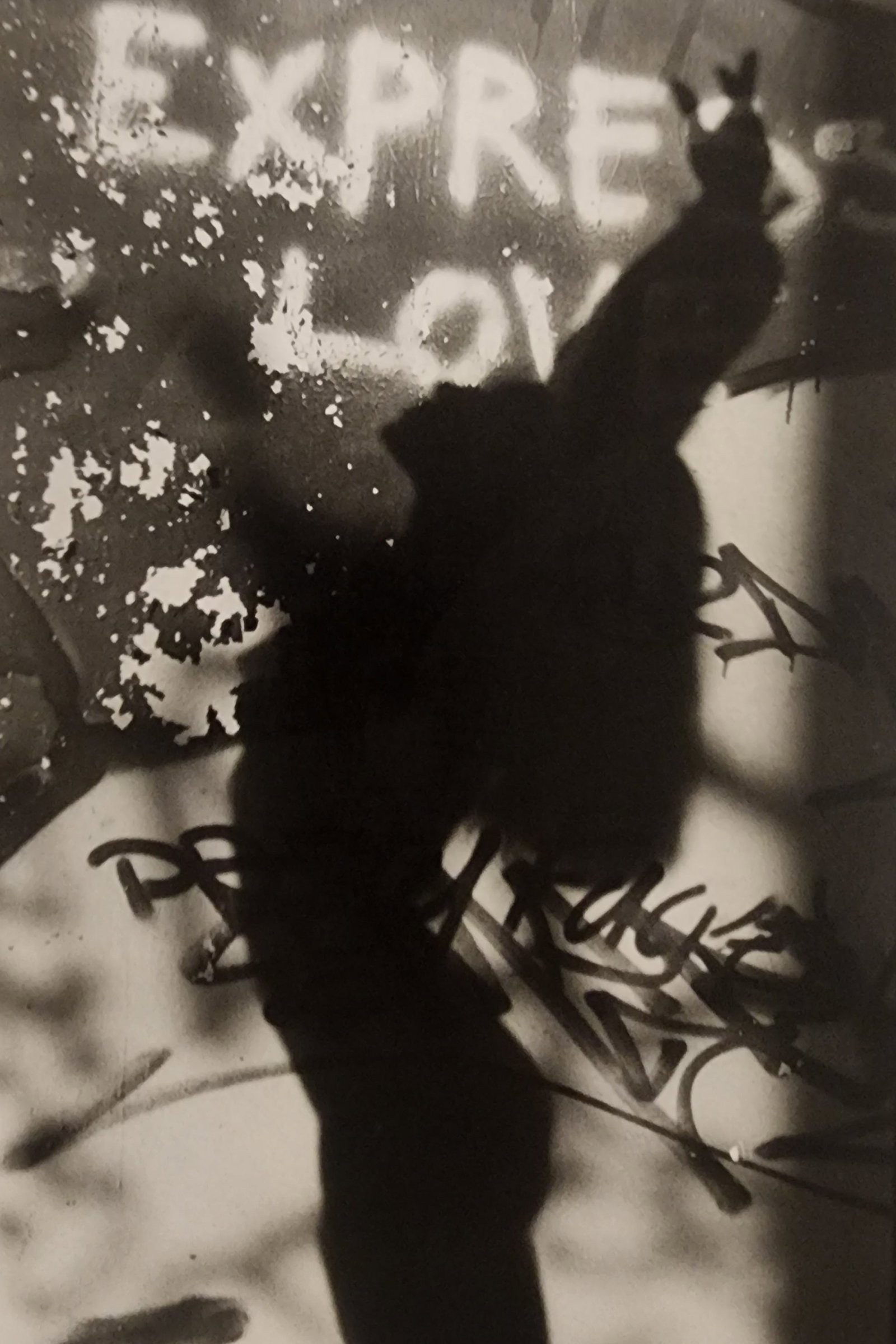 Pascal Baetens 'Heavenly Beauties' (2010): Artist/Photographer: Pascal Baetens Title/Subject: Heavenly Beauties Type Of Print: Authentic Sheet Fed Photogravure/Heliogravure. Date Of Print: 2010 Paper: Medium weight, satin/matte finish. Print O
