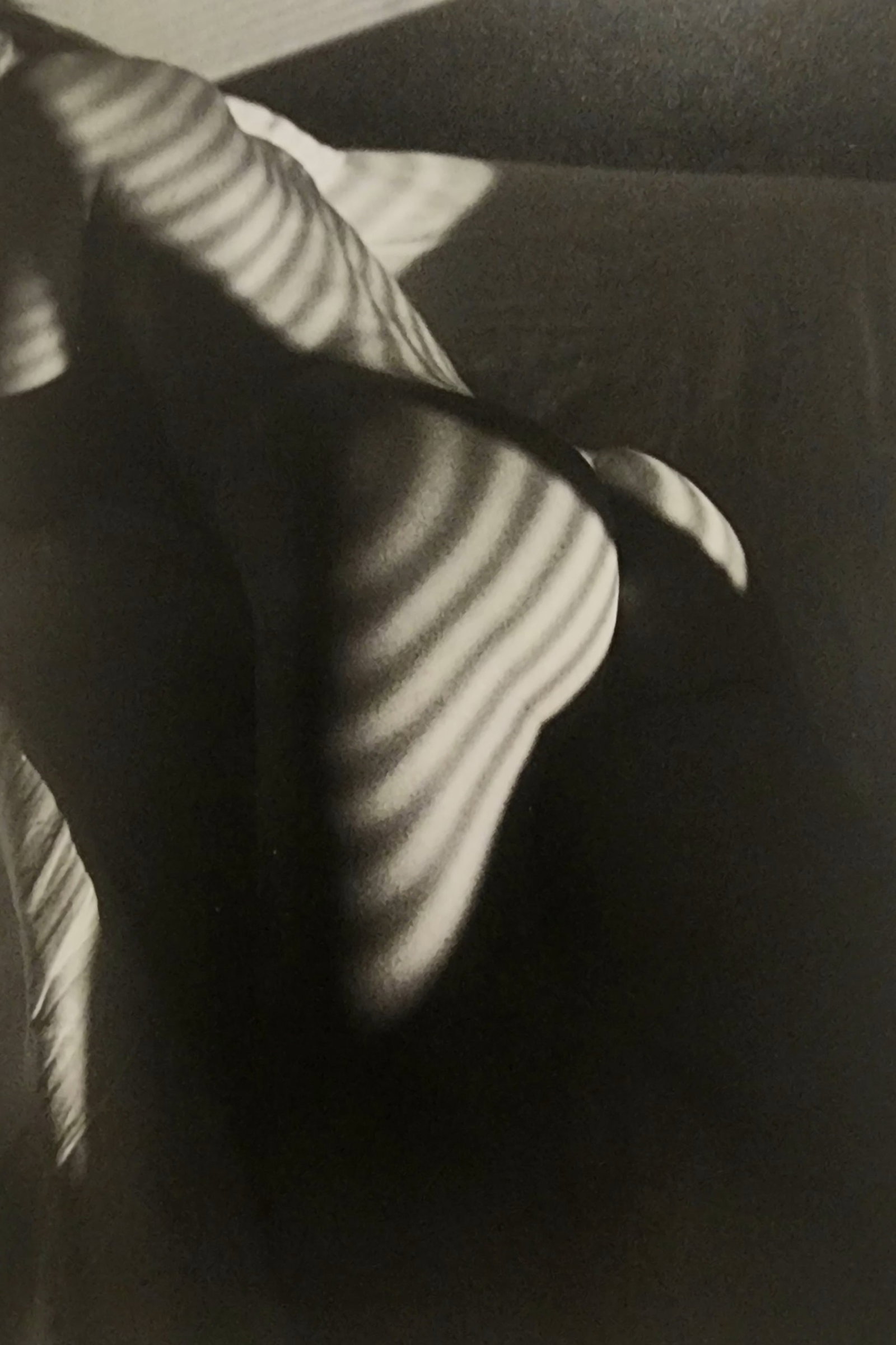 Pascal Baetens 'Heavenly Beauties' (2010): Artist/Photographer: Pascal Baetens Title/Subject: Heavenly Beauties Type Of Print: Authentic Sheet Fed Photogravure/Heliogravure. Date Of Print: 2010 Paper: Medium weight, satin/matte finish. Print O