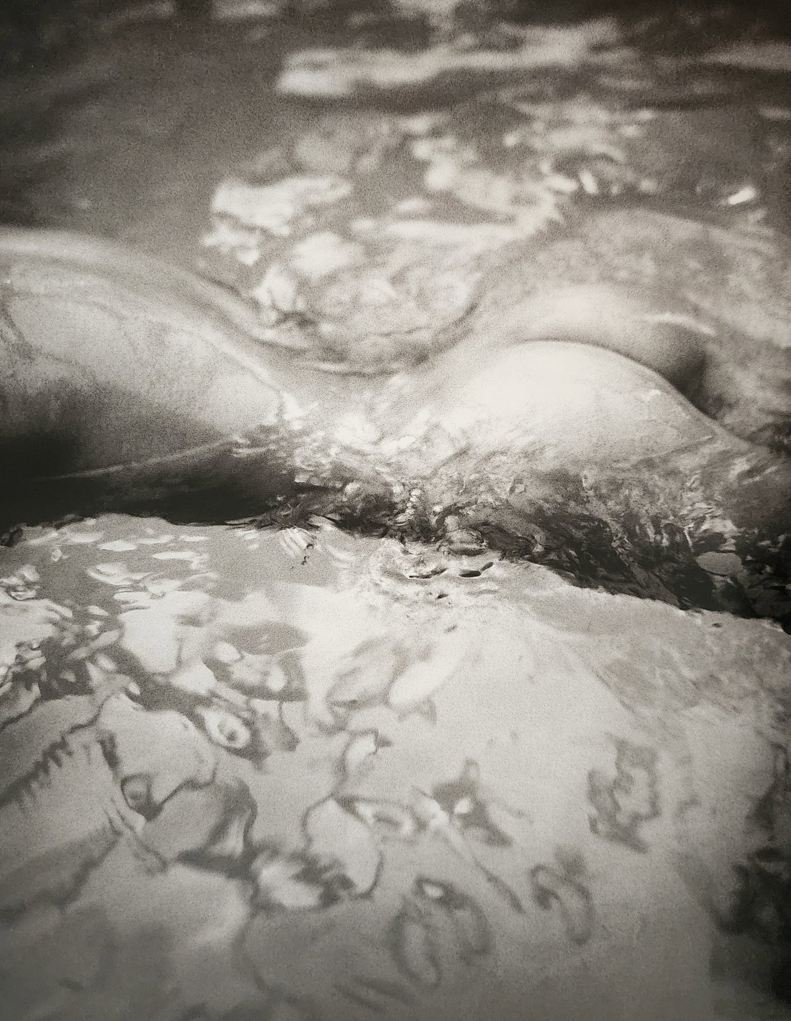Vincent Peters 'Beautiful Woman' 2016: Photographer: Vincent Peters Title/Subject: Beautiful Woman Type Of Print: Authentic Sheet Fed Photogravure/Heliogravure. Date Of Print: 2016 Paper: Medium weight, satin/matte finish. Print Origin: It