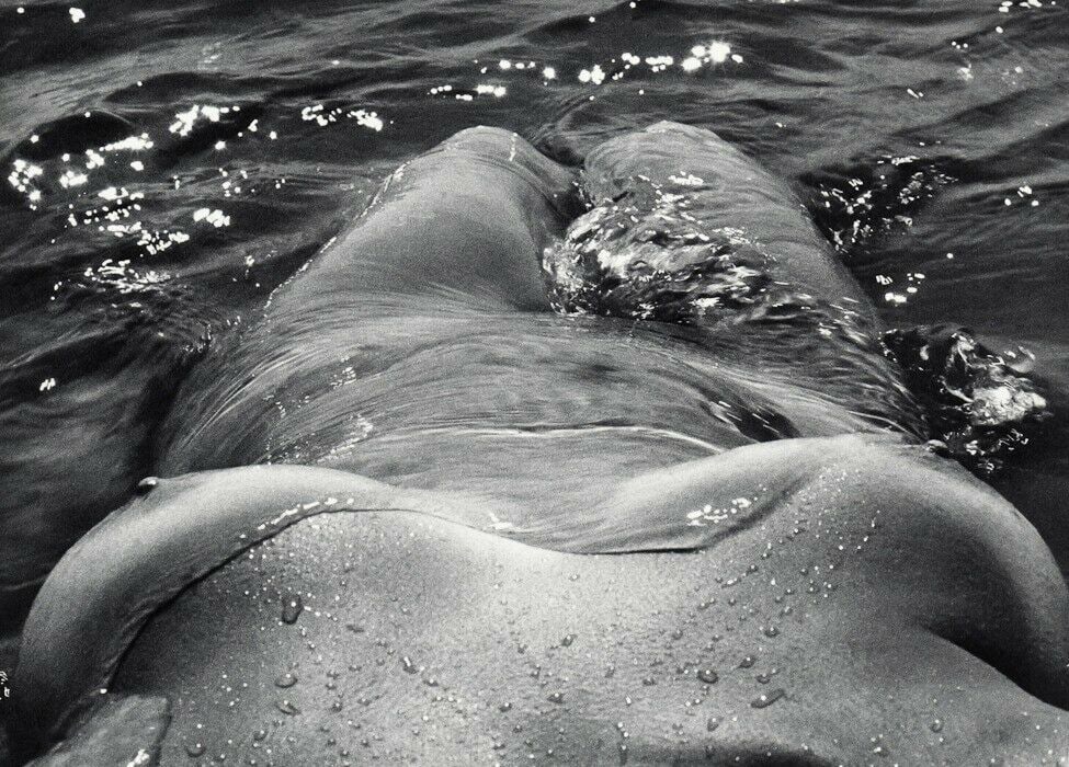 Lucien Clergue, Nee De La Vague (1 of 1)