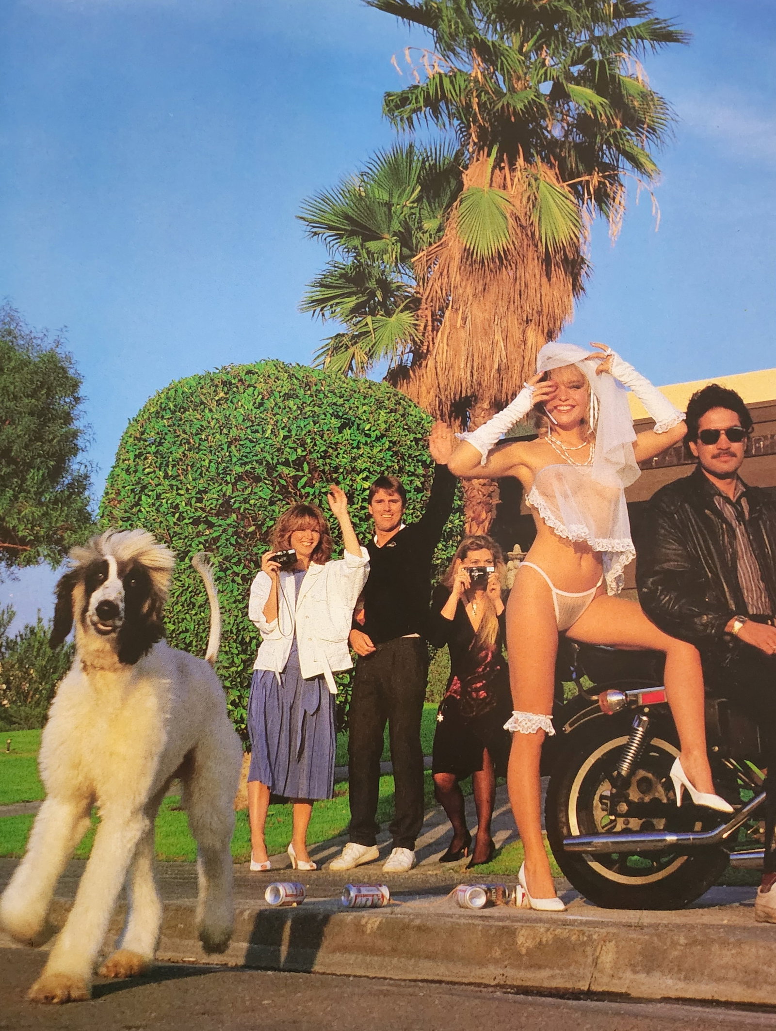 John Kelly, Linda Krygsman, 1984 (1 of 1)
