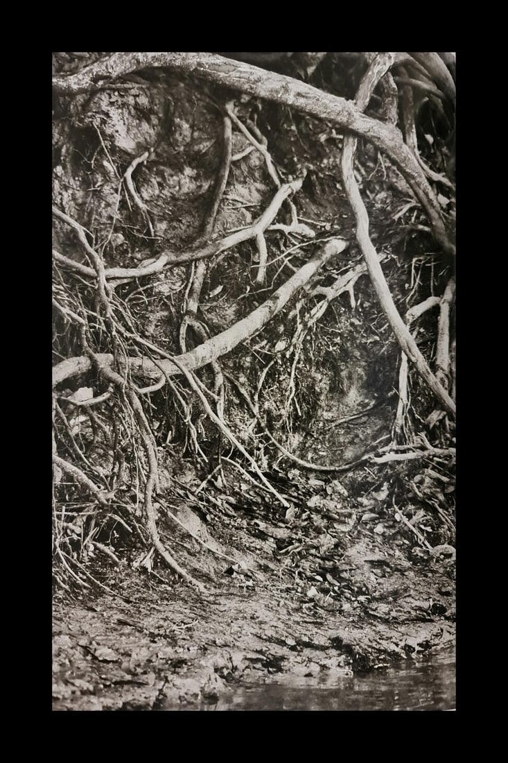 Sebastiao Salgado, Matto Grosso, Brazil, 2011 (1 of 1)