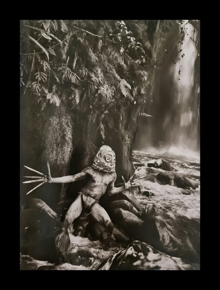 Sebastiao Salgado, Mudmen performers, Papa New Guinea, 2008: Photographer: Sebastiao Ribeiro Salgado Junior is a Brazilian social documentary photographer and photojournalist. He has traveled to over 120 countries for his photographic projects. Most of these ha