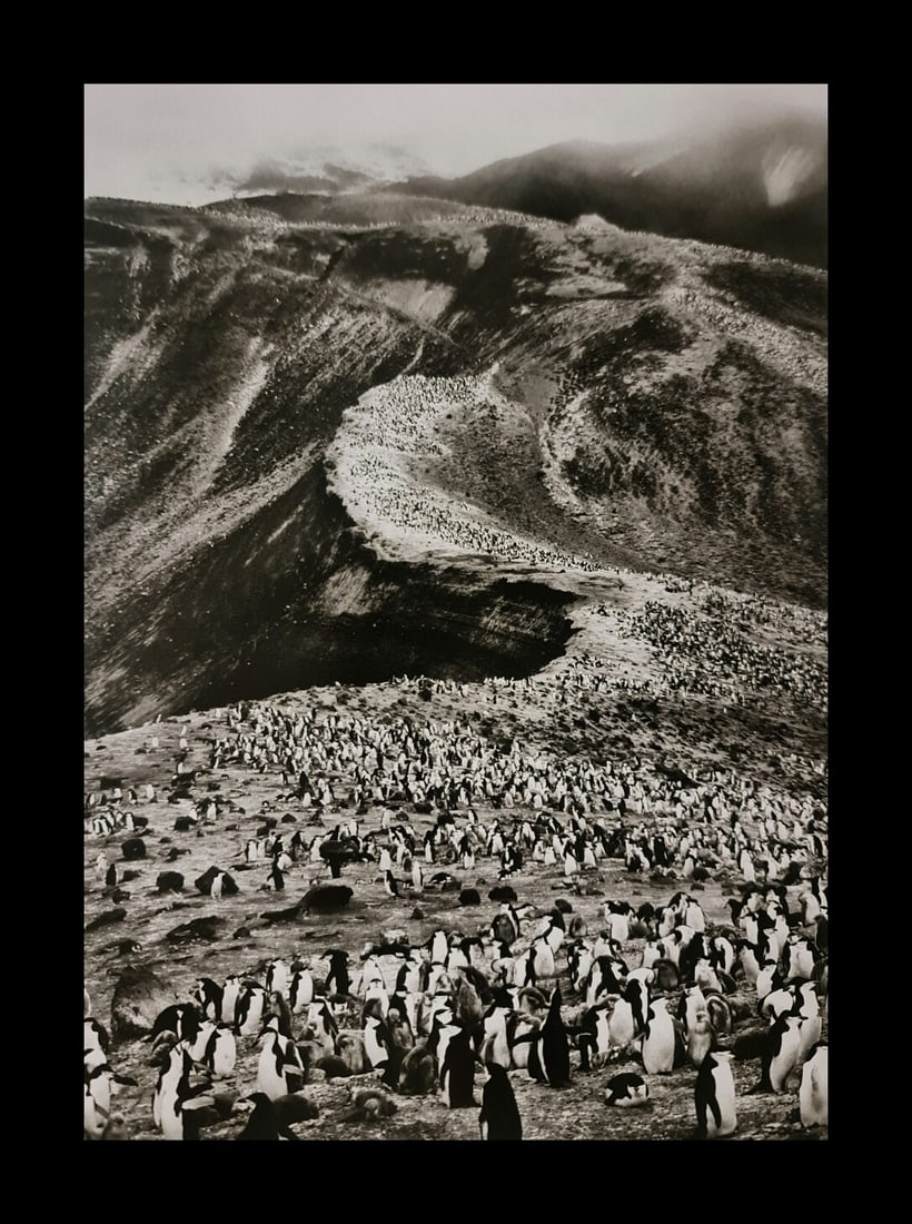 Sebastiao Salgado, On Deception Island, Antarctic Peninsula, 2005 (1 of 1)