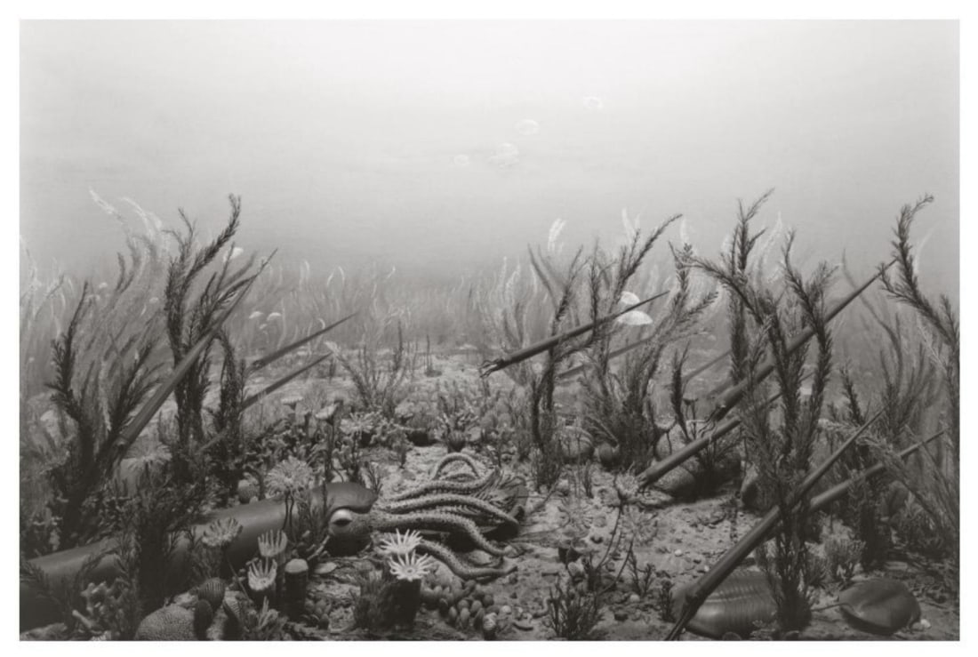 Hiroshi Sugimoto, Ordorician Period, 1992, Limited Edition Of 360: Photographer: Hiroshi Sugimoto is a contemporary Japanese photographer whose esoteric practice explores memory and time. Using the intrinsic quality of long exposure photography, the artist provides i