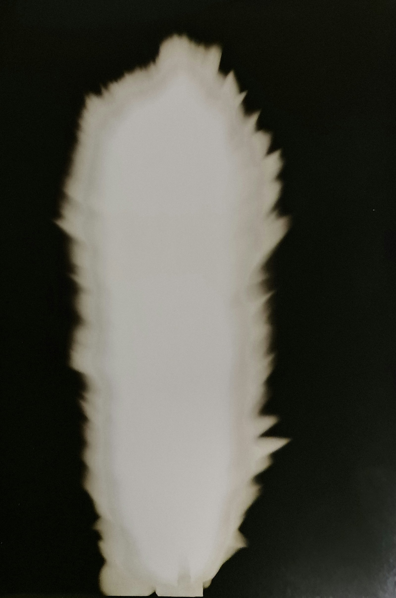 Hiroshi Sugimoto, In Praise of shadows, 980814 (1 of 2)