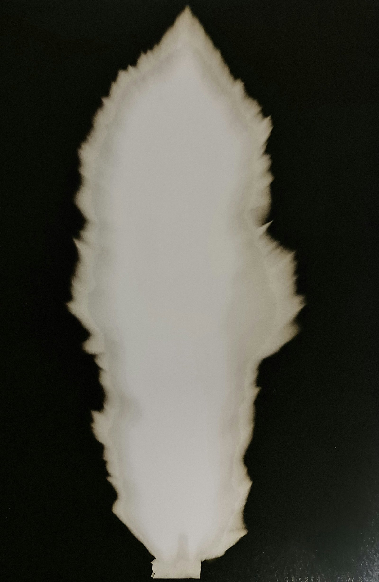 Hiroshi Sugimoto, In Praise of shadows, 980815 (1 of 2)