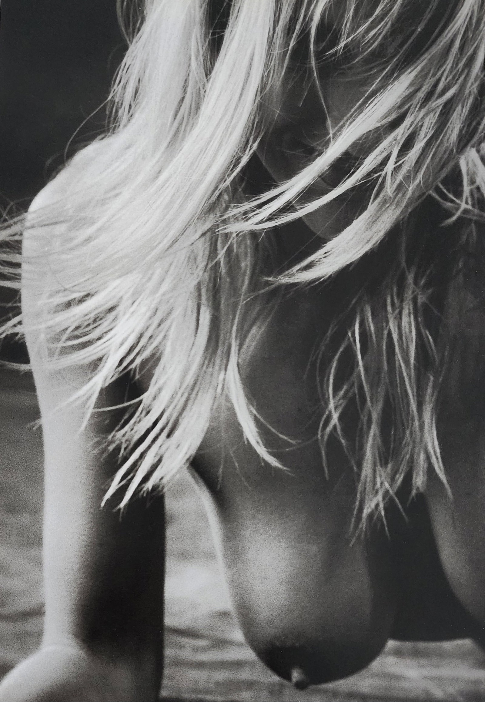 Brono Bisang, Monochrome Nudes, 1999: Artist/Photographer: Brono Bisang Title/Subject: Monochrome Nudes Print Type: Photogravure/Heliogravure. Date Of Print: 1999 Paper: Medium weight, satin/matte finish. Print Origin: Italy Approximate I