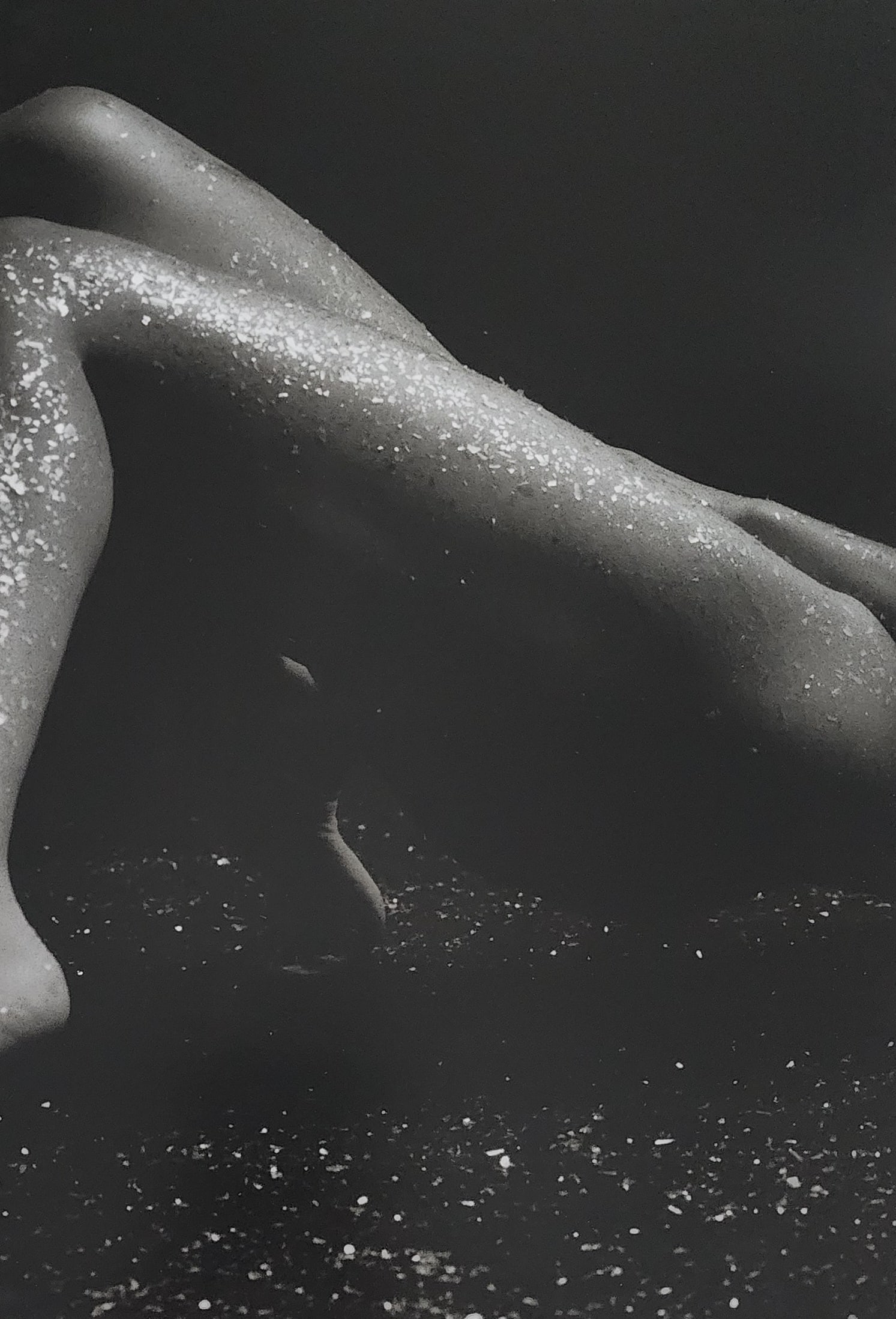 Brono Bisang, Monochrome Nudes, 1999: Artist/Photographer: Brono Bisang Title/Subject: Monochrome Nudes Print Type: Photogravure/Heliogravure. Date Of Print: 1999 Paper: Medium weight, satin/matte finish. Print Origin: Italy Approximate I