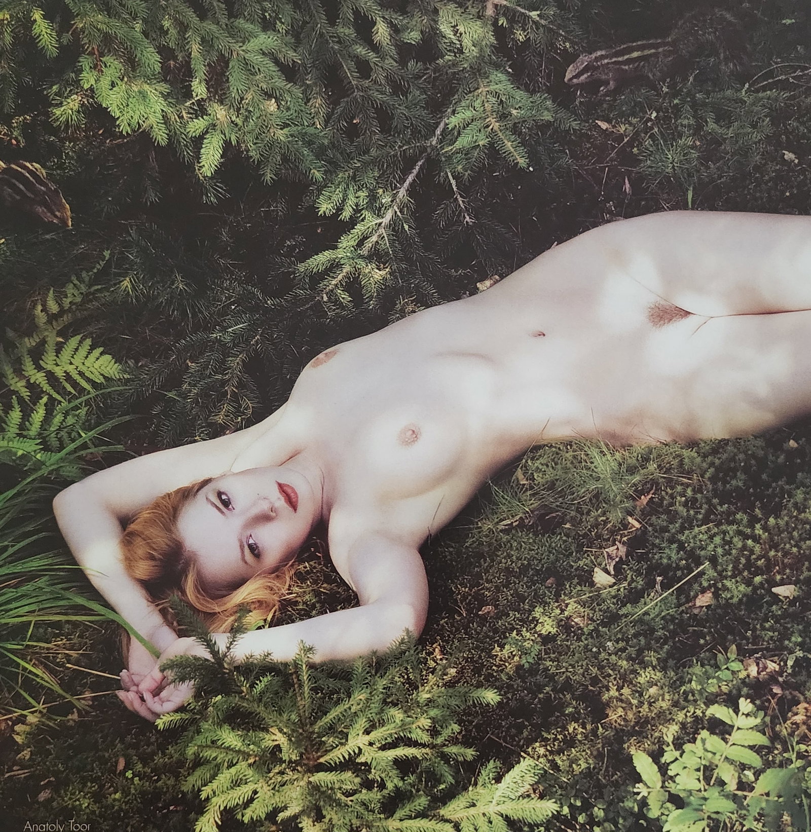 Anatoly Toor, Best nude contemporary, 2019: Artist/Photographer: Anatoly Toor Title/Subject: Best nude contemporary Print Type: Photogravure/Heliogravure. Date Of Print: 2019 Paper: Medium weight, satin/matte finish. Print Origin: China Approxi