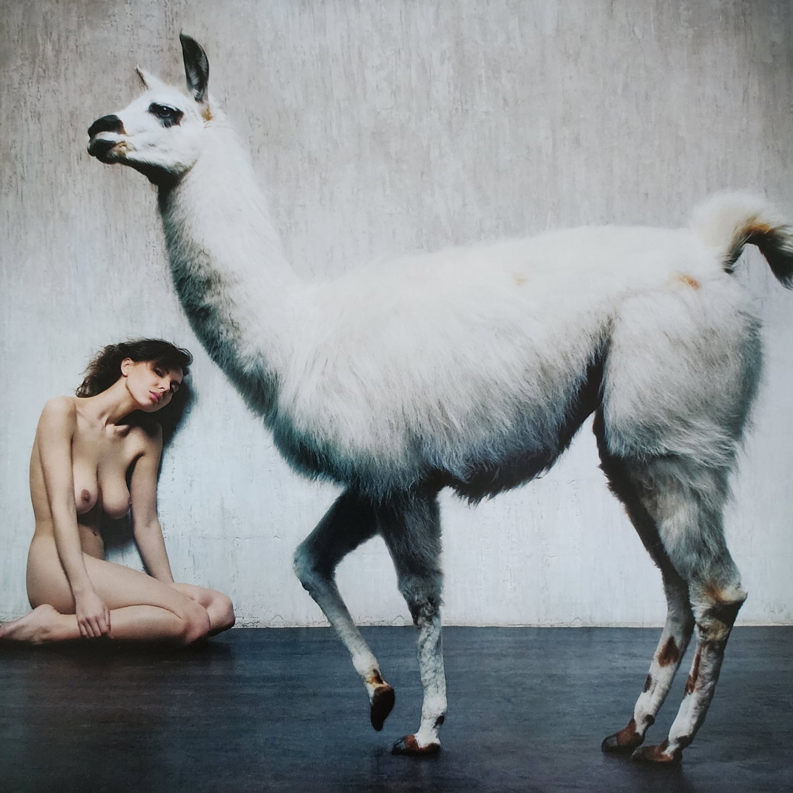 Anatoly Toor, Best nude contemporary, 2019: Artist/Photographer: Anatoly Toor Title/Subject: Best nude contemporary Print Type: Photogravure/Heliogravure. Date Of Print: 2019 Paper: Medium weight, satin/matte finish. Print Origin: China Approxi