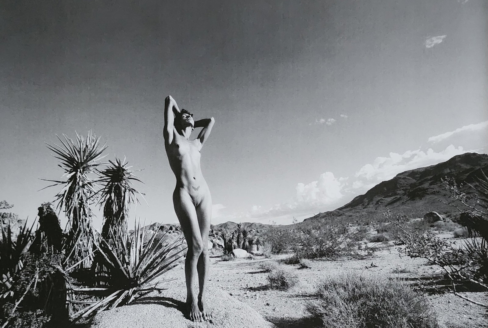 David Winge, Best nude contemporary, 2019: Artist/Photographer: David Winge Title/Subject: Best nude contemporary Print Type: Photogravure/Heliogravure. Date Of Print: 2019 Paper: Medium weight, satin/matte finish. Print Origin: China Approxim