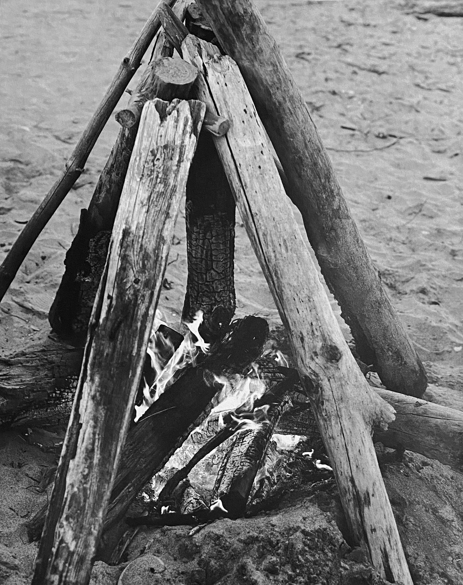 Michael Dweck, Bonfire, Trailer Park: Photographer: Michael Dweck is an American visual artist and filmmaker. Best known for his narrative photography, Dweck's work "explores ongoing struggles between identity and adaptation in endangered