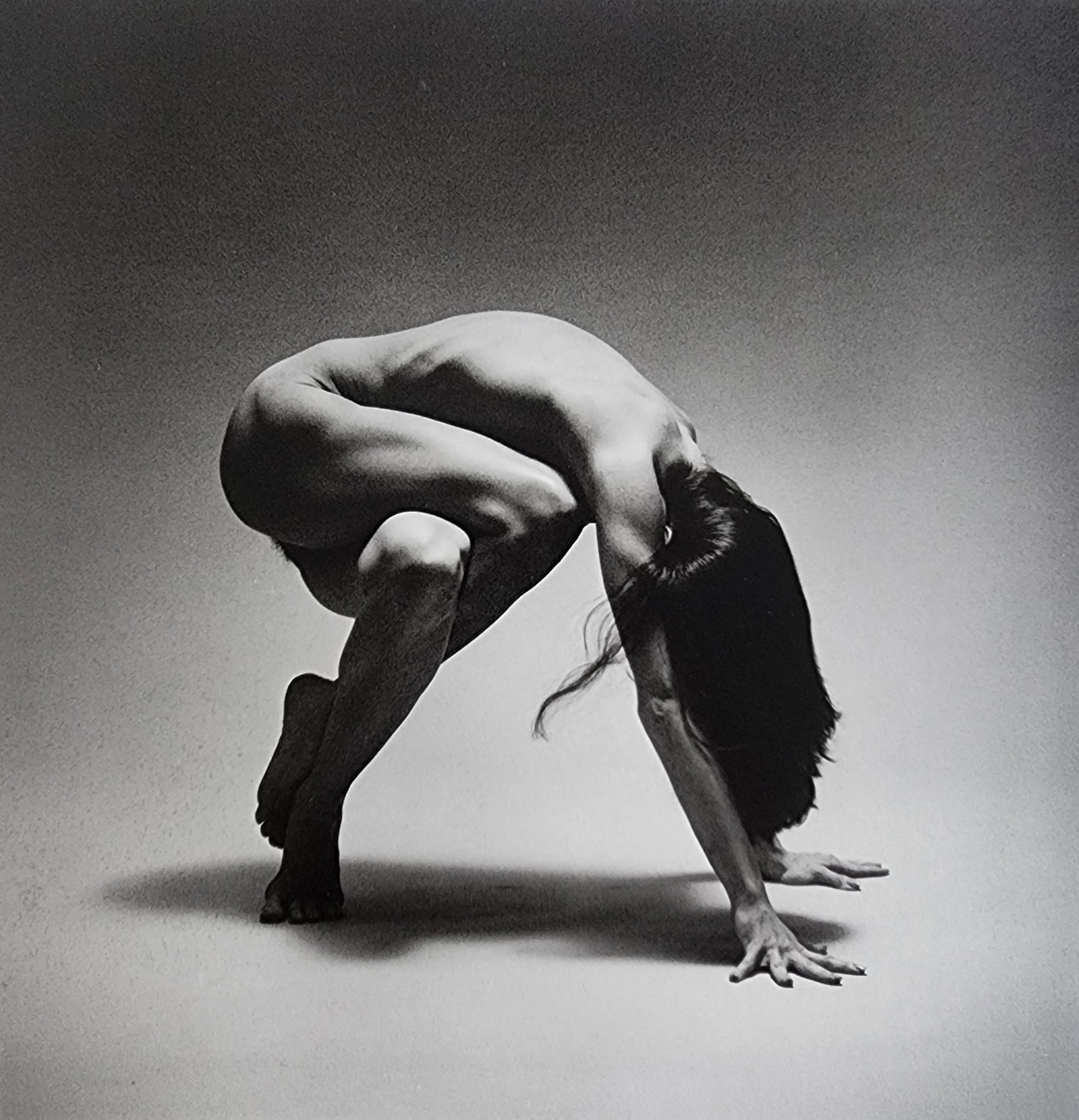Elegant Nudes and Models, 1995: Artist/Photographer: Various Photographers Title/Subject: Elegant Nudes and Models Type Of Print: Authentic Sheet Fed Photogravure/Heliogravure. Date Of Print: 1995 Paper: Medium weight, satin/matte f