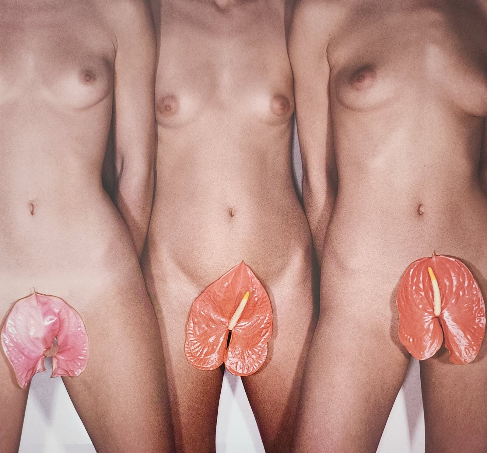The World's Top Nude Photograhpy, 2007: Artist/Photographer: Various Photogrphers Title/Subject: The World's Top Nude Photograhpy Type Of Print: Authentic Sheet Fed Photogravure/Heliogravure. Date Of Print: 2007 Paper: Medium weight, satin/