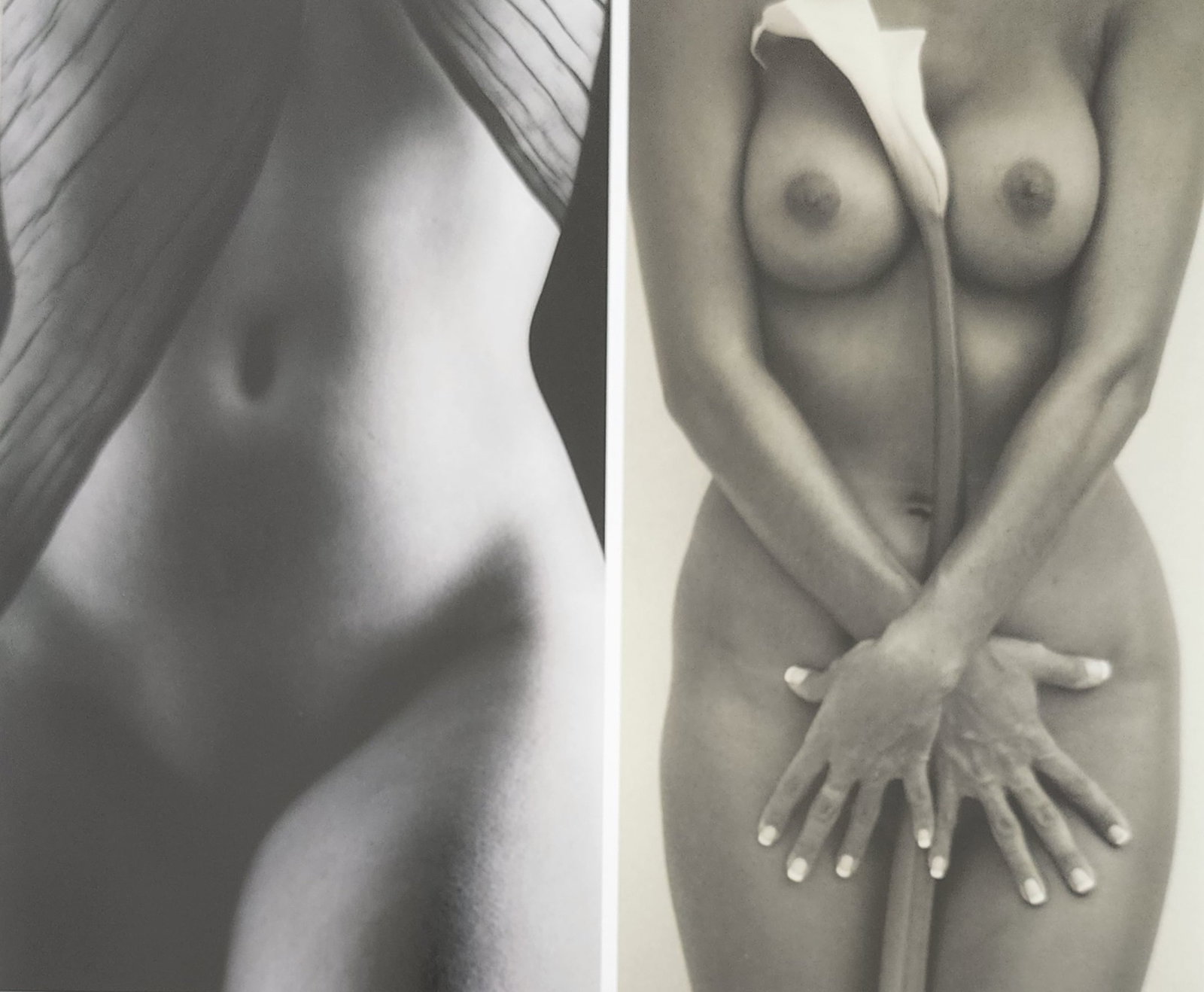 The World's Top Nude Photograhpy, 2007: Artist/Photographer: Various Photogrphers Title/Subject: The World's Top Nude Photograhpy Type Of Print: Authentic Sheet Fed Photogravure/Heliogravure. Date Of Print: 2007 Paper: Medium weight, satin/