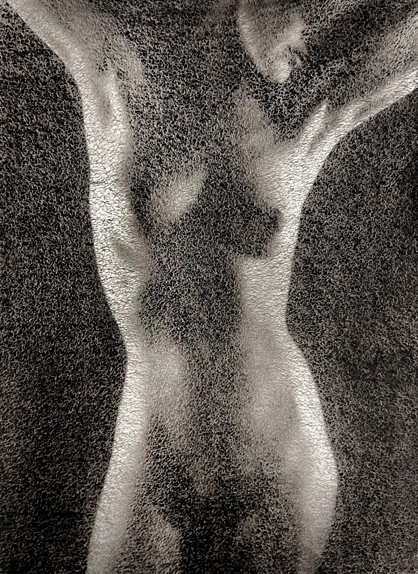 Ruth Bernhard, Rice Paper, 1969: Ruth Bernhard (1905-2006) was the daughter of Lucien Bernhard, a graphic designer known as "the father of the German poster." After studying for two years at the Berlin Academy of Art, she came to New