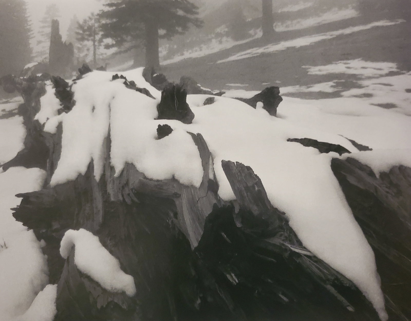 Ansel Adams, Morning Mist, Near Glacier Point, Yosemite National Park, California, C. 1962: Photographer: Ansel Adams (American, 1902 - 1984) - Internationally renowned American photographer. One of the most influential artists in photographic history. Title: "Morning Mist, Near Glacier Poin