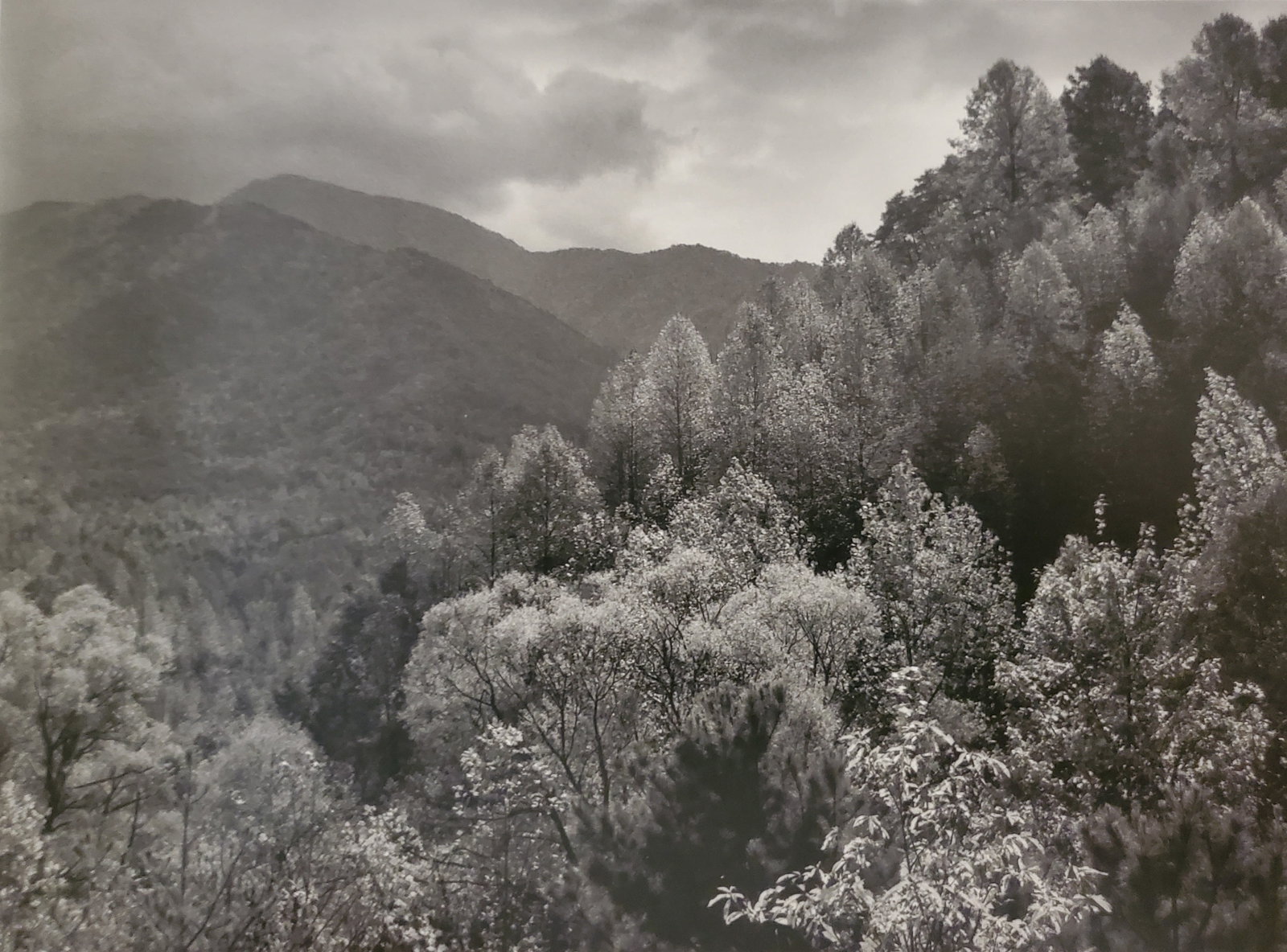 Ansel Adams, Mount Leconte, Atumn, Great Smoky Mountains National Park, Tennessee, 1948 (1 of 1)