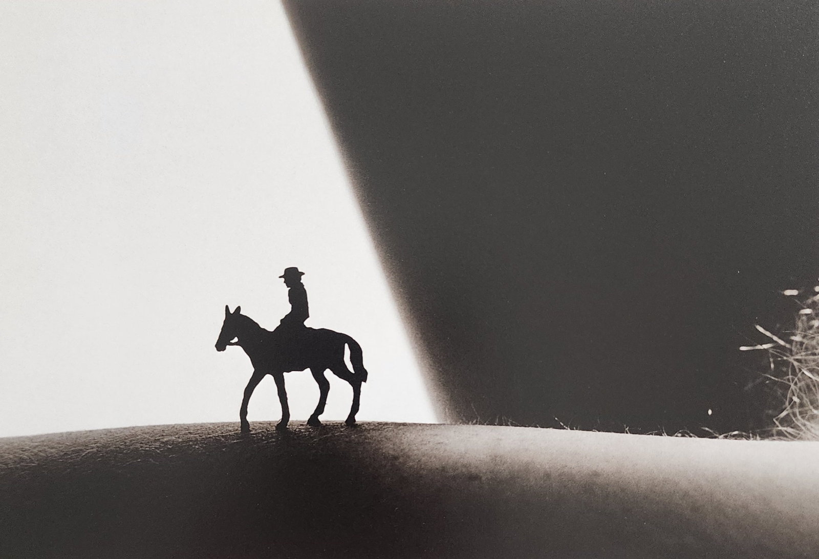 Allan Teger 'Bodyscapes I' 1995: Artist/Photographer: Allan I. Teger Title/Subject: Bodyscapes Type Of Print: Authentic Sheet Fed Photogravure/Heliogravure. Date Of Print: 2012 Paper: Medium weight, satin/matte finish. Print Origin: 