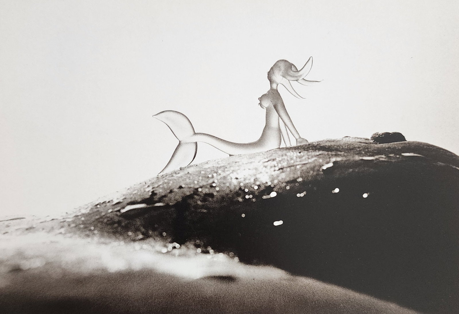 Allan Teger 'Bodyscapes I' 1995: Artist/Photographer: Allan I. Teger Title/Subject: Bodyscapes Type Of Print: Authentic Sheet Fed Photogravure/Heliogravure. Date Of Print: 2012 Paper: Medium weight, satin/matte finish. Print Origin: 