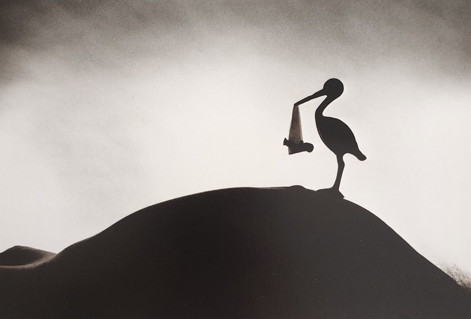 Allan Teger 'Bodyscapes I' 1995: Artist/Photographer: Allan I. Teger Title/Subject: Bodyscapes Type Of Print: Authentic Sheet Fed Photogravure/Heliogravure. Date Of Print: 2012 Paper: Medium weight, satin/matte finish. Print Origin: 