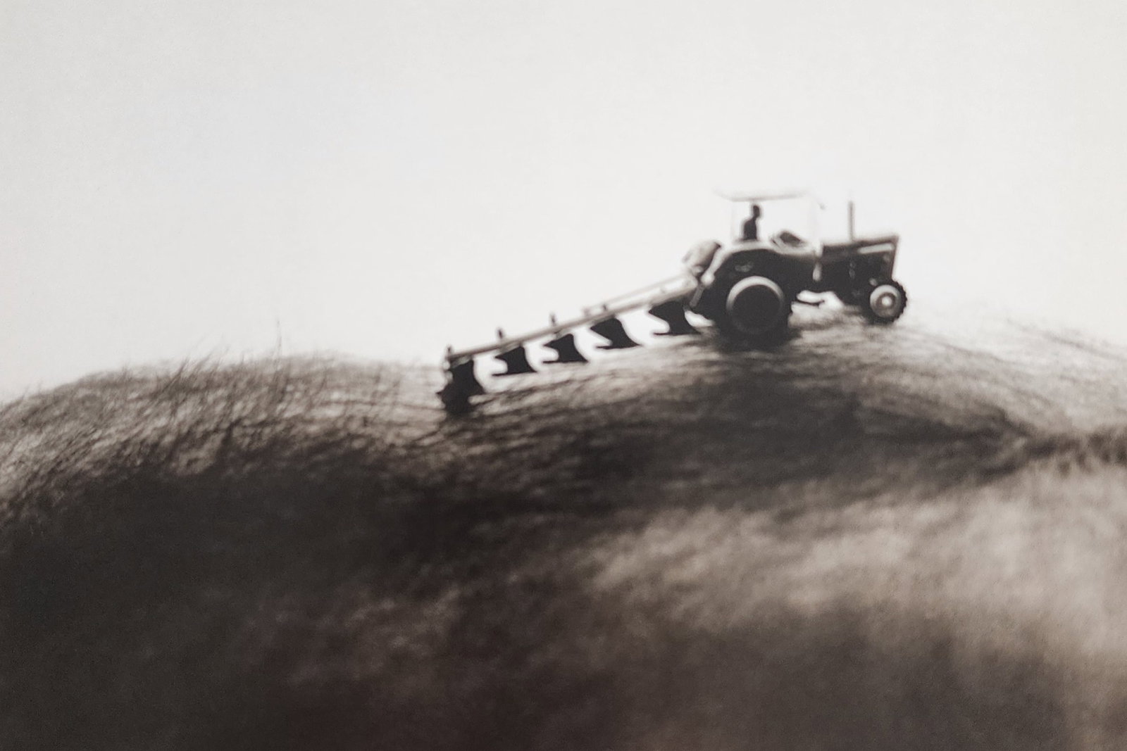 Allan Teger 'Bodyscapes I' 1995: Artist/Photographer: Allan I. Teger Title/Subject: Bodyscapes Type Of Print: Authentic Sheet Fed Photogravure/Heliogravure. Date Of Print: 2012 Paper: Medium weight, satin/matte finish. Print Origin: 