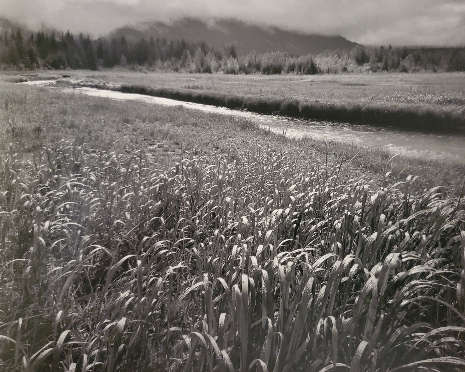 Ansel Adams, Rain, Beartrack Cove, Glacier Bay National Park, Alaska, 1949: Photographer: Ansel Adams (American, 1902 - 1984) - Internationally renowned American photographer. One of the most influential artists in photographic history. Title: "Rain, Beartrack Cove, Glacier B