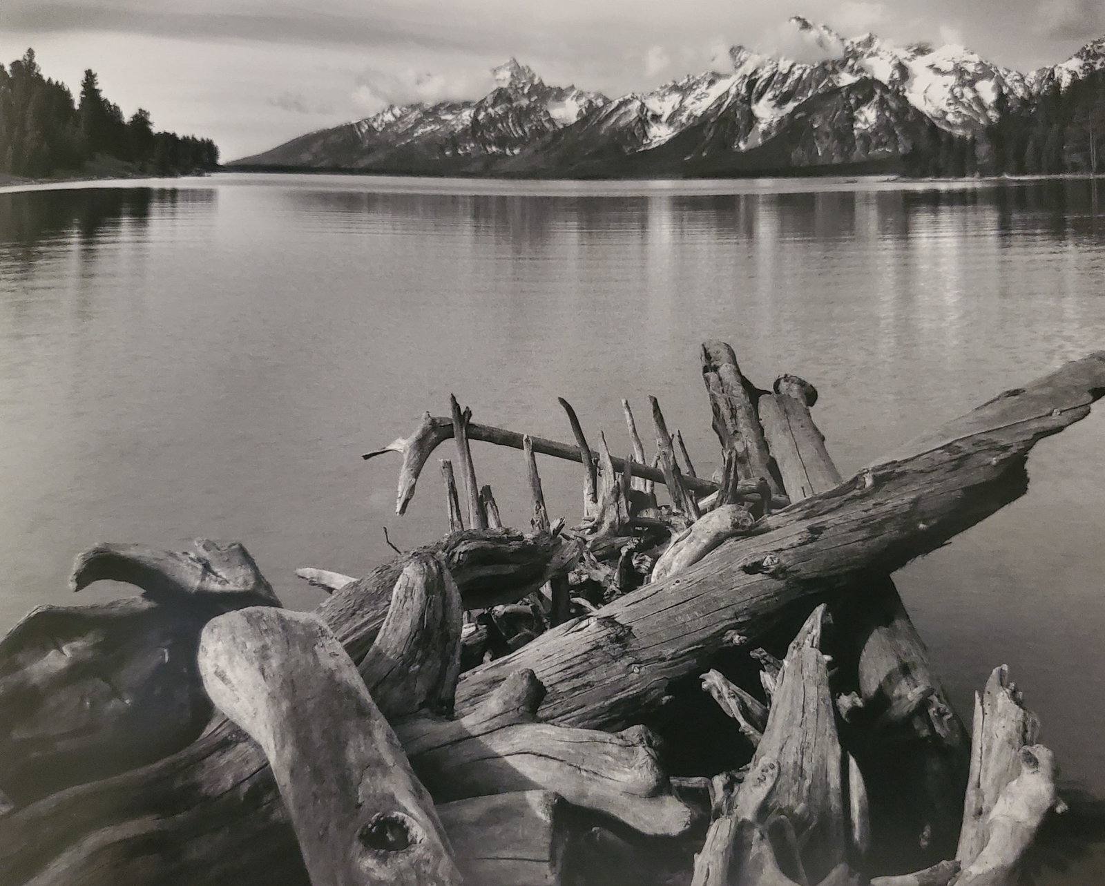 Ansel Adams, The Tetons and Jackson Lake, Driftwood, Grand Teton National Park, Wyoming, 1942: Photographer: Ansel Adams (American, 1902 - 1984) - Internationally renowned American photographer. One of the most influential artists in photographic history. Title: "The Tetons and Jackson Lake, Dr