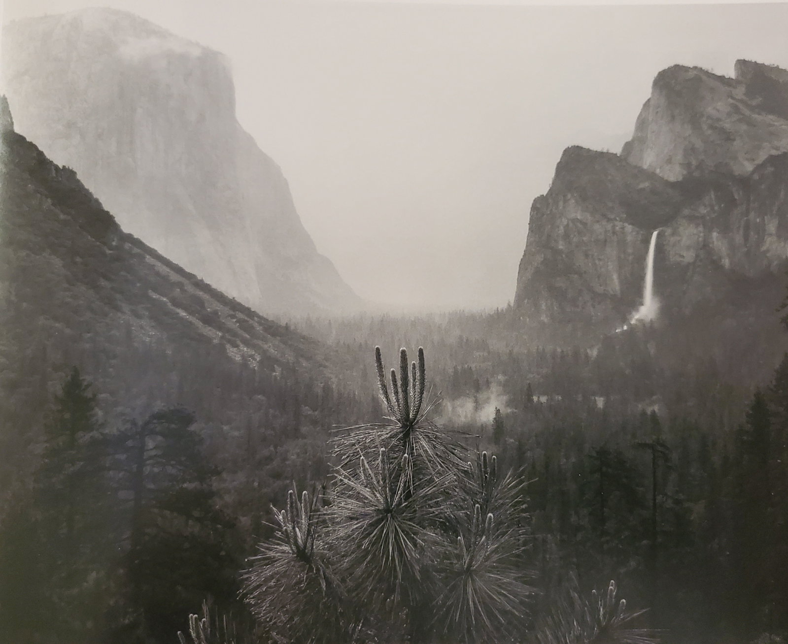 Ansel Adams, Yosemite Valley, Rain, California, C. 1945 (1 of 1)