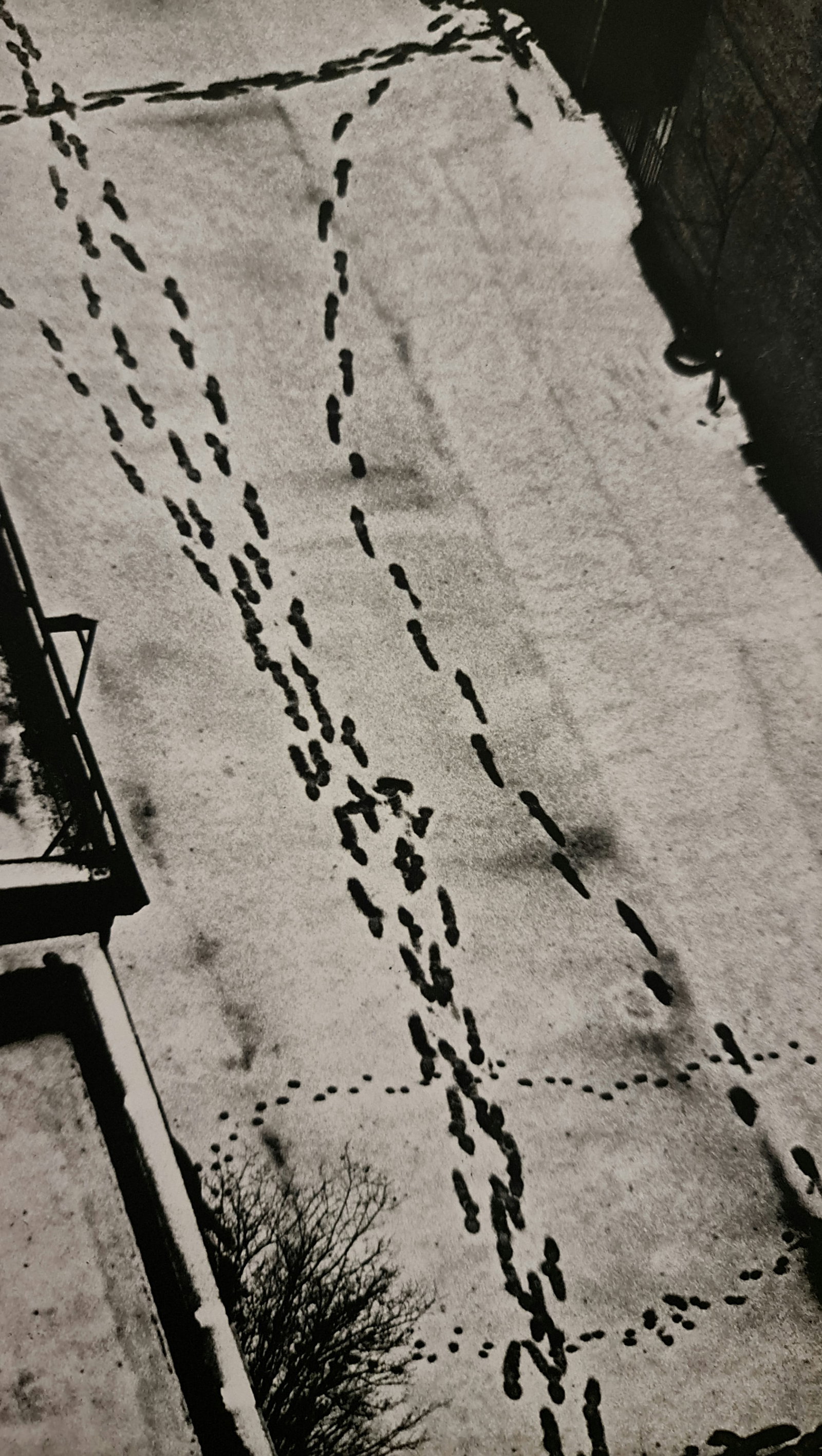 Andre Kertesz, Footprints in the snow, New York, 1962: Photographer: Andre Kertesz born Andor Kert?sz, was a Hungarian-born photographer known for his groundbreaking contributions to photographic composition and the photo essay. Subject: Footprints in the