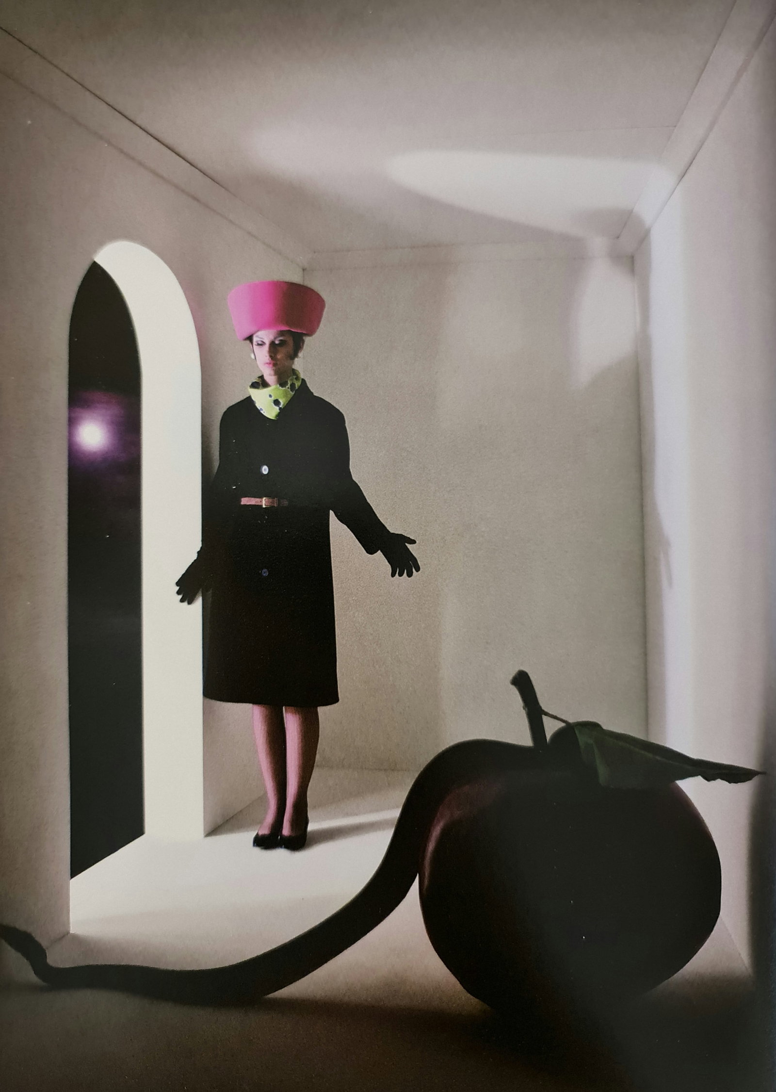 Melvin Sokolski, Veronica, Snake, Bazaar, 1964 (1 of 1)
