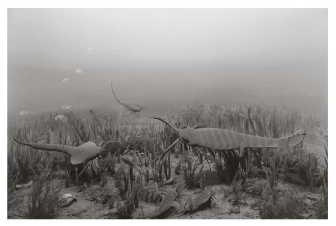 Hiroshi Sugimoto, Silurian Period, 1992, Limited Edition Of 360: Photographer: Hiroshi Sugimoto is a contemporary Japanese photographer whose esoteric practice explores memory and time. Using the intrinsic quality of long exposure photography, the artist provides i
