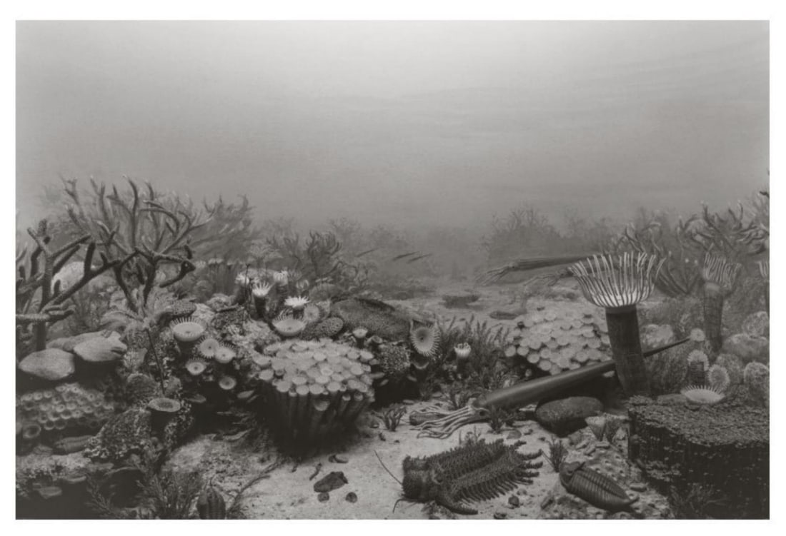 Hiroshi Sugimoto, Devonian Period, 1992, Limited Edition Of 360: Photographer: Hiroshi Sugimoto is a contemporary Japanese photographer whose esoteric practice explores memory and time. Using the intrinsic quality of long exposure photography, the artist provides i