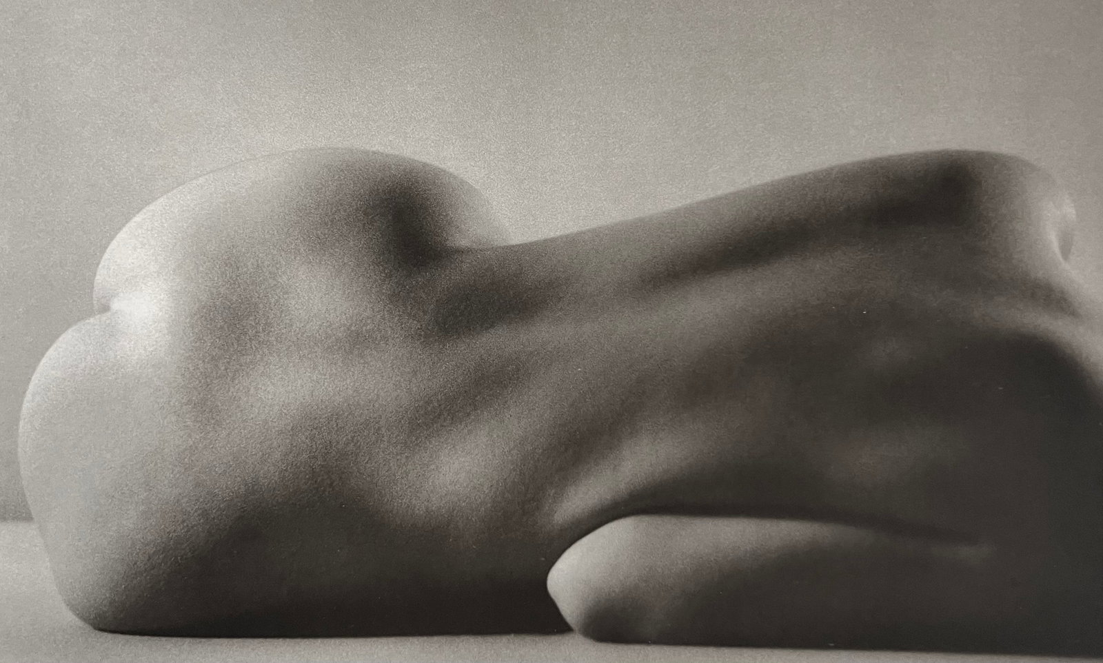 Ruth Bernhard, Curvilineal, 1971: Ruth Bernhard (1905-2006) was the daughter of Lucien Bernhard, a graphic designer known as "the father of the German poster." After studying for two years at the Berlin Academy of Art, she came to New